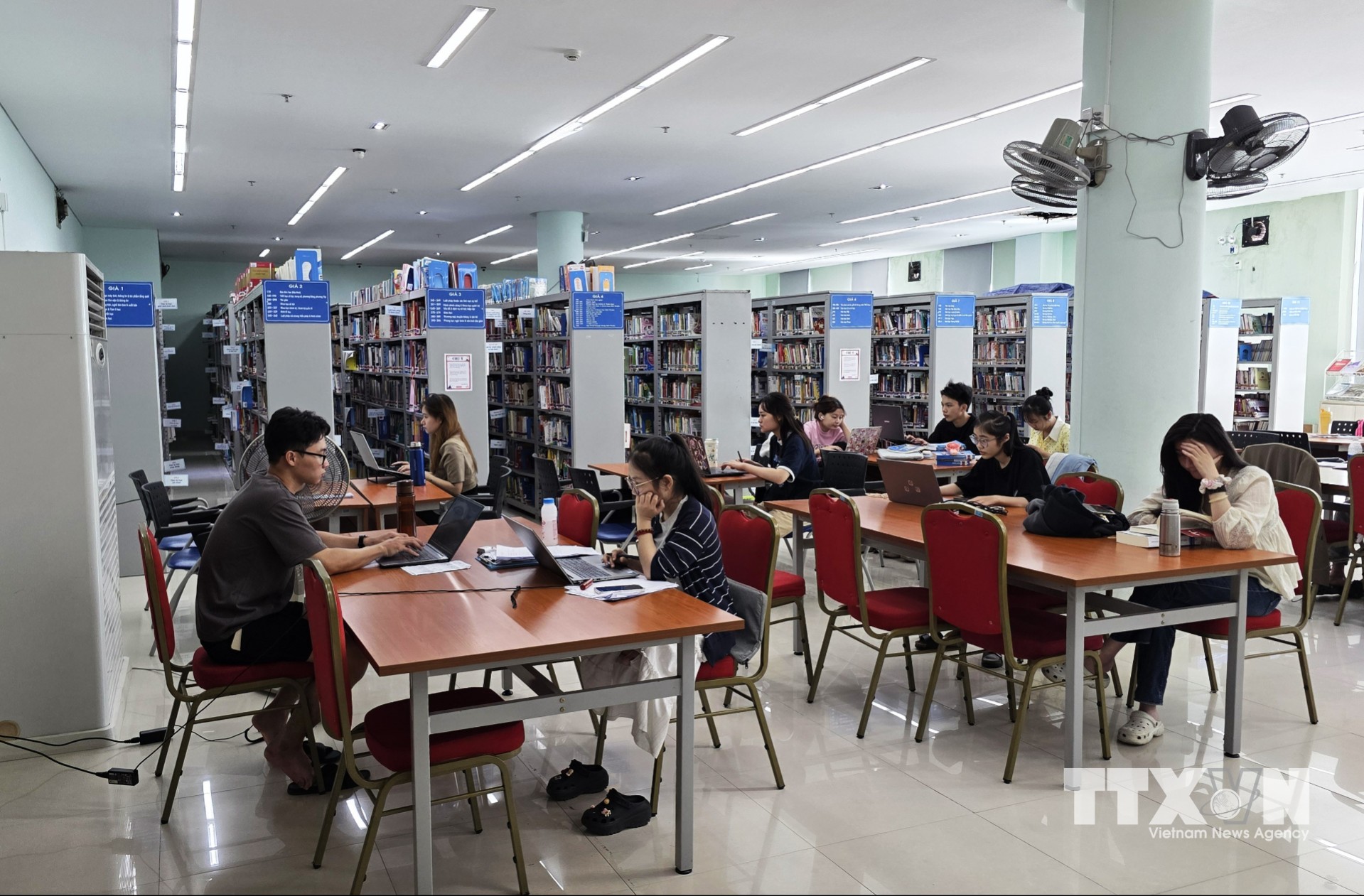 Bạn đọc sử dụng máy tính cá nhân tại không gian đọc của Thư viện Đà Nẵng, kết hợp đọc sách truyền thống và khai thác tài liệu trên môi trường số. (Ảnh: Trần Lê Lâm/TTXVN)
